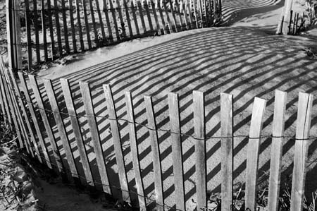 wild dunes fenced