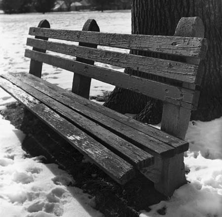 winter bench