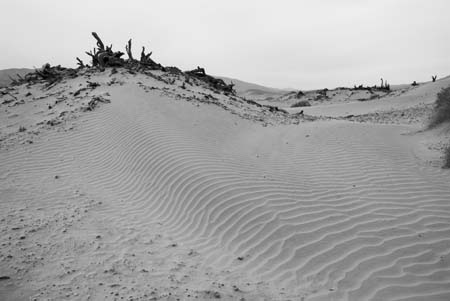 dune no 1 death valley