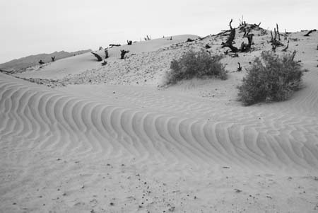 dune no 2 death valley