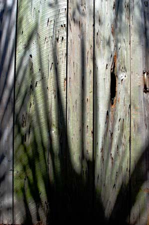 barndoor with shadow