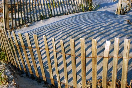 wild dunes fenced